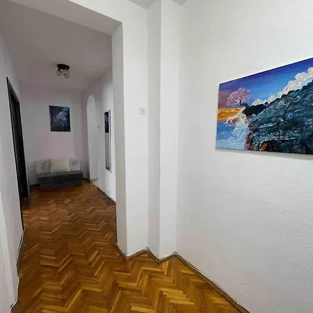 Zona Centrala Punctele Cardinale Timisoara