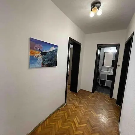 Zona Centrala Punctele Cardinale Timisoara